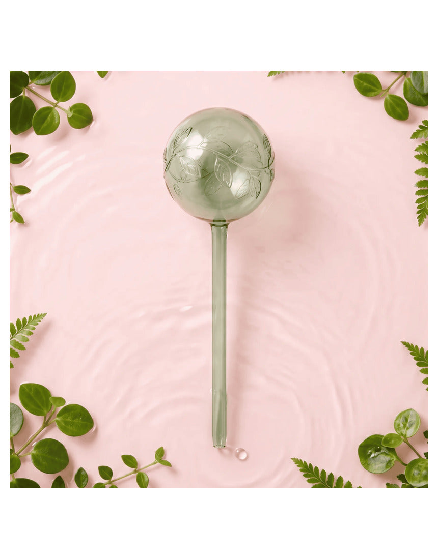 We The Wild - Self-Watering Globe - Green Vine