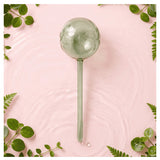 We The Wild - Self-Watering Globe - Green Vine