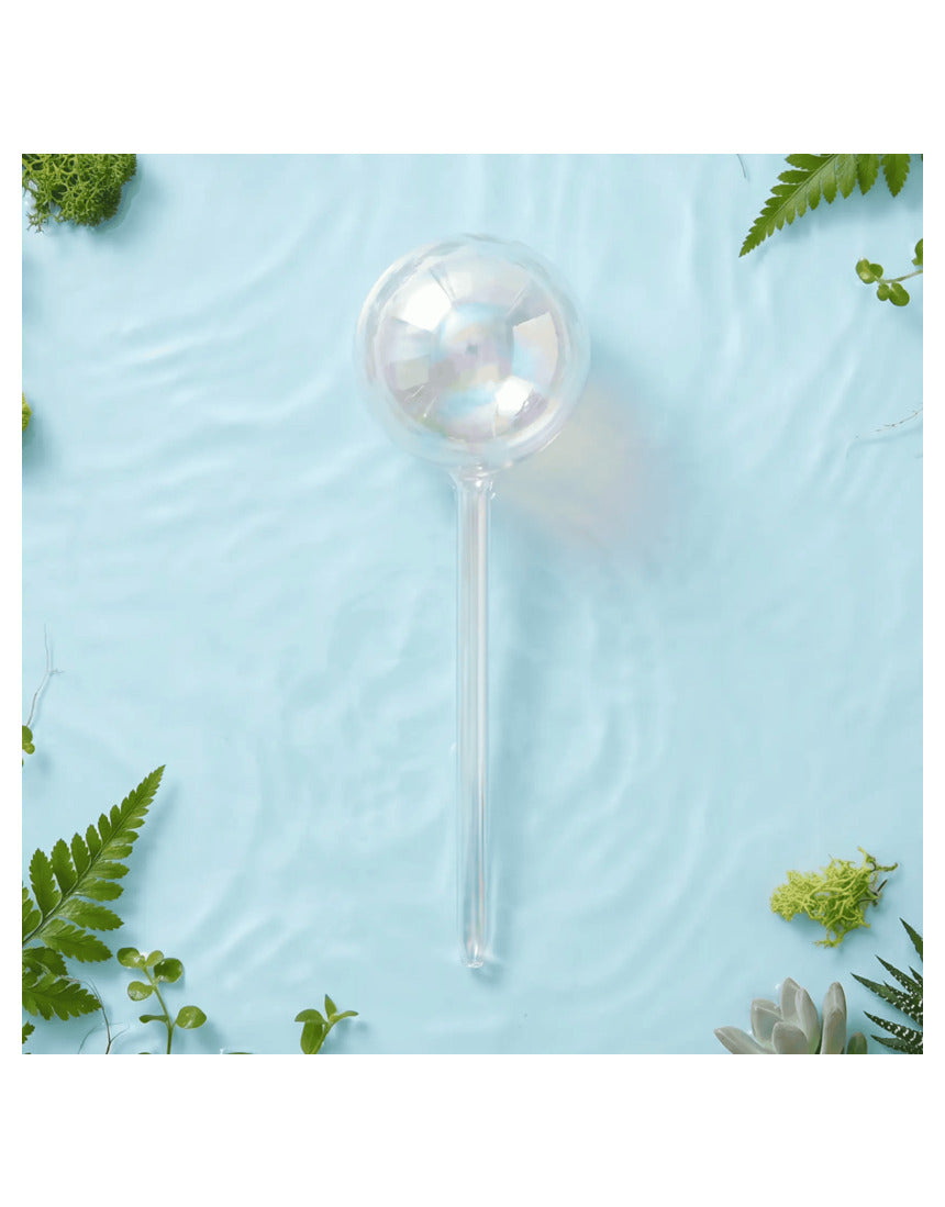 We The Wild - Self-Watering Globe - Iridescent