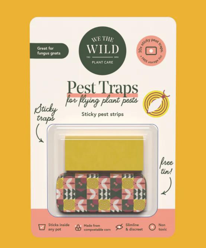 We The Wild compostable gnat traps, eco-friendly pest control devices with natural attractants to eliminate gnats effectively.