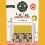 We The Wild compostable gnat traps, eco-friendly pest control devices with natural attractants to eliminate gnats effectively.