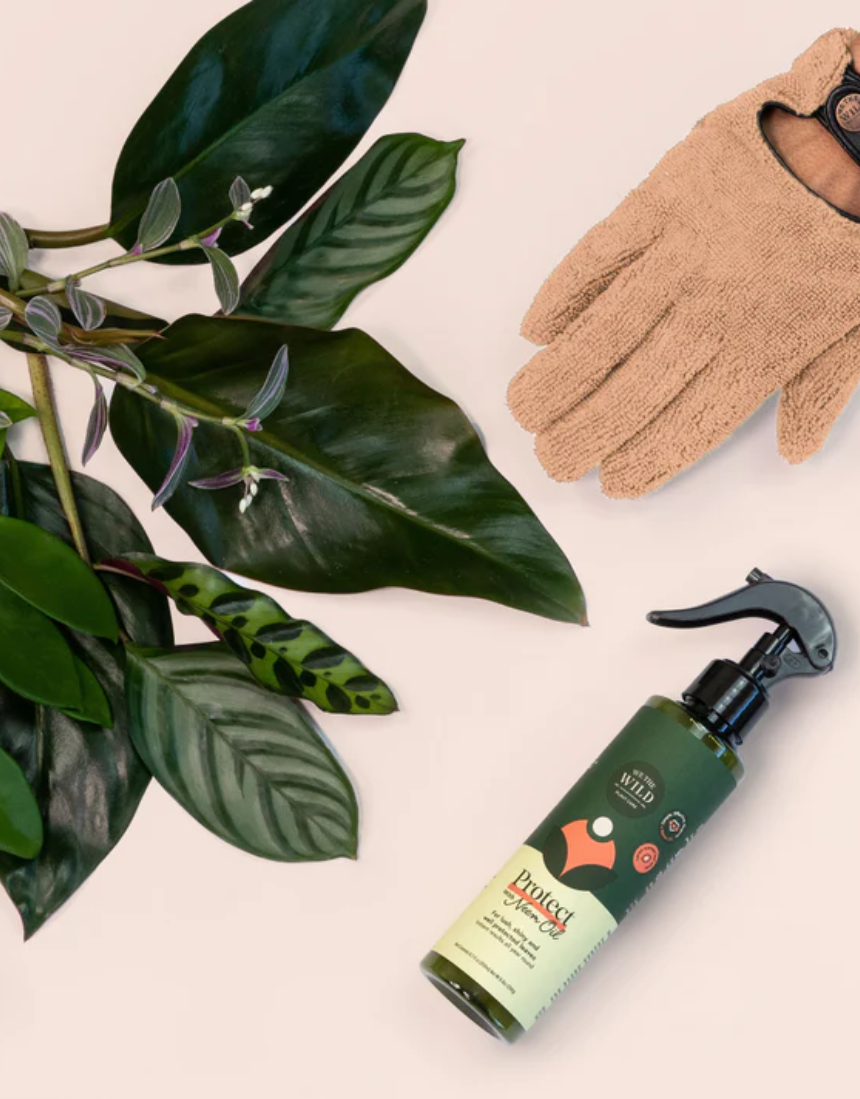 We The Wild - Proud Plant Mum Leaf Health Kit, , We The Wild - Say It Sister