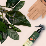 We The Wild - Proud Plant Mum Leaf Health Kit, , We The Wild - Say It Sister