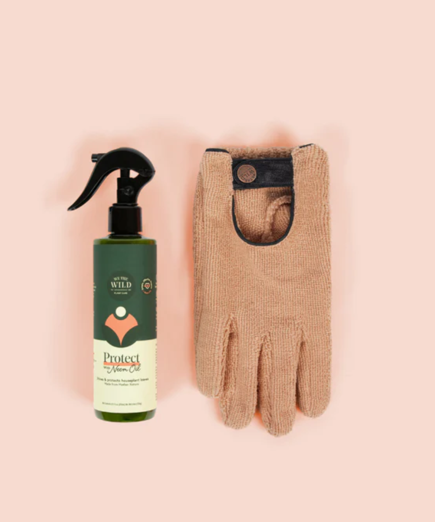 We The Wild - Proud Plant Mum Leaf Health Kit, , We The Wild - Say It Sister