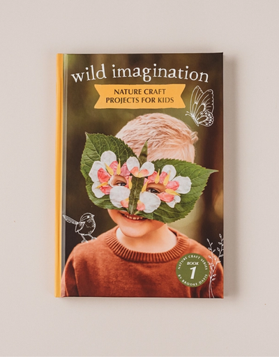 Wild Imagination Book - Say It Sister