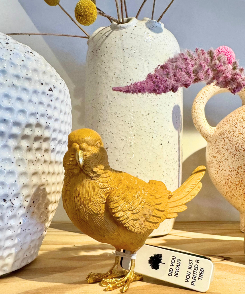 Budgie - Mustard/Gold, Homewares, White Moose - Say It Sister