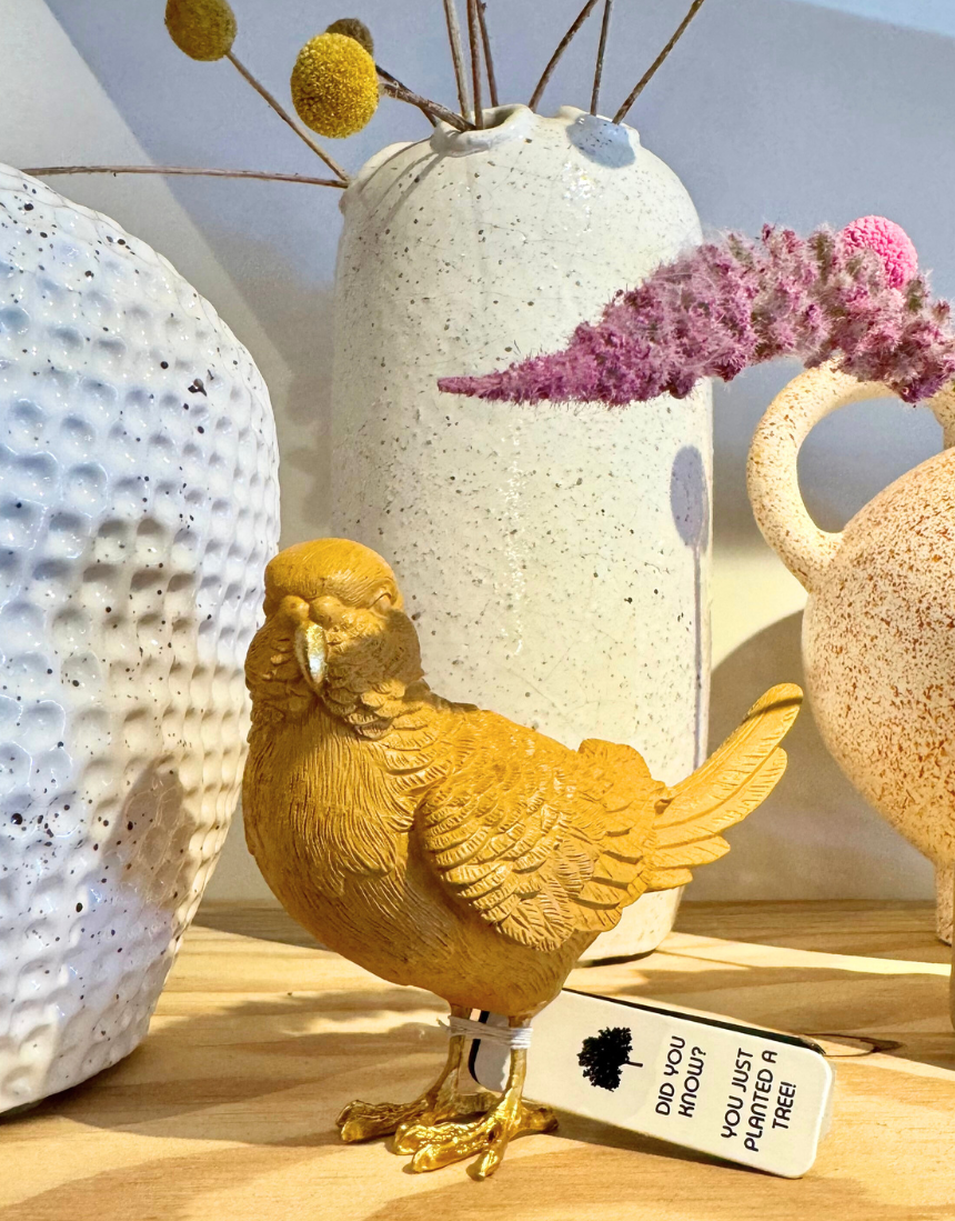 Budgie - Mustard/Gold, Homewares, White Moose - Say It Sister