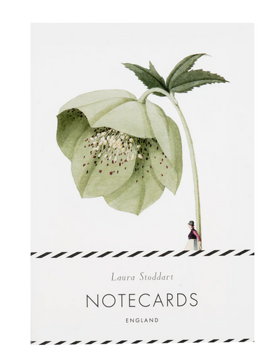 Notecard Set - Laura Stoddart Flowers In Bloom, Greeting & Note Cards, Scarpa Imports - Say It Sister