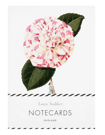 Notecard Set - Laura Stoddart Flowers In Bloom Multi, Greeting & Note Cards, Scarpa Imports - Say It Sister