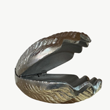 Clam Bowl Silver, bowl, White Moose - Say It Sister