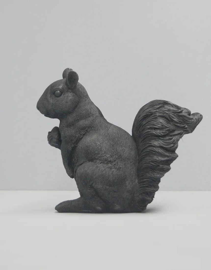 Squirrel Twin Set - Black, Homewares, White Moose - Say It Sister