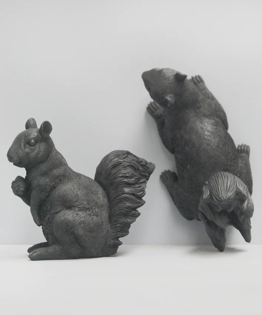 Squirrel Twin Set - Black, Homewares, White Moose - Say It Sister
