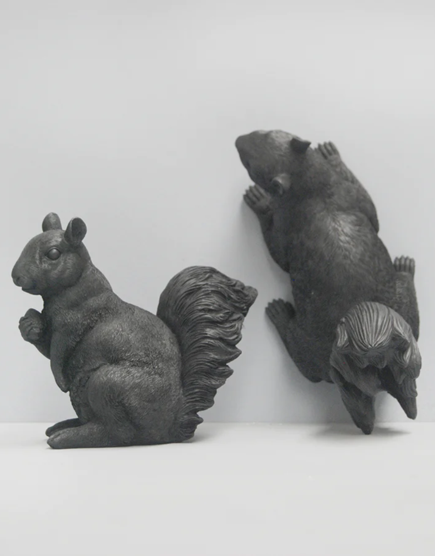 Squirrel Twin Set - Black, Homewares, White Moose - Say It Sister