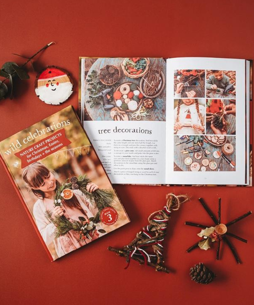 Wild Celebrations Book - Say It Sister