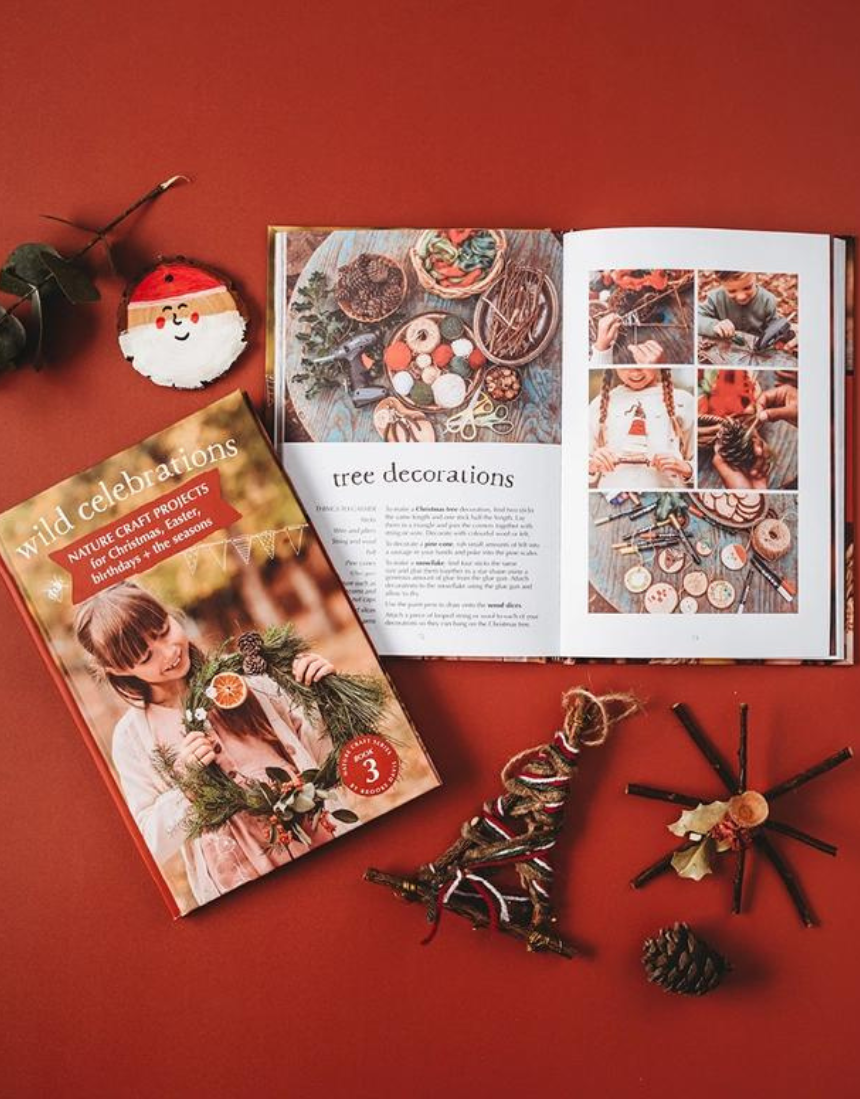 Wild Celebrations Book - Say It Sister
