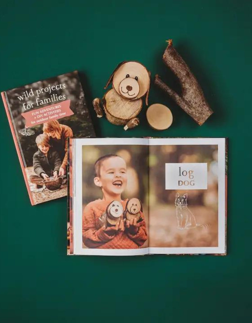 Wild Projects For Families Book - Say It Sister
