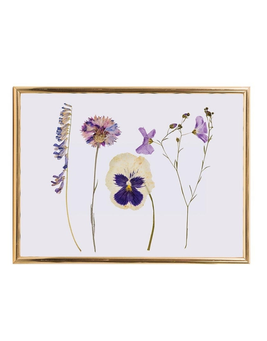 Classic Flower Press, TOY, Isgift - Say It Sister