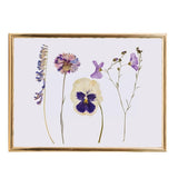 Classic Flower Press, TOY, Isgift - Say It Sister
