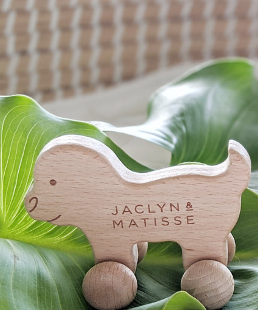 Wooden Doug the Dog, Toy Instruments, Jaclyn and Matisse - Say It Sister