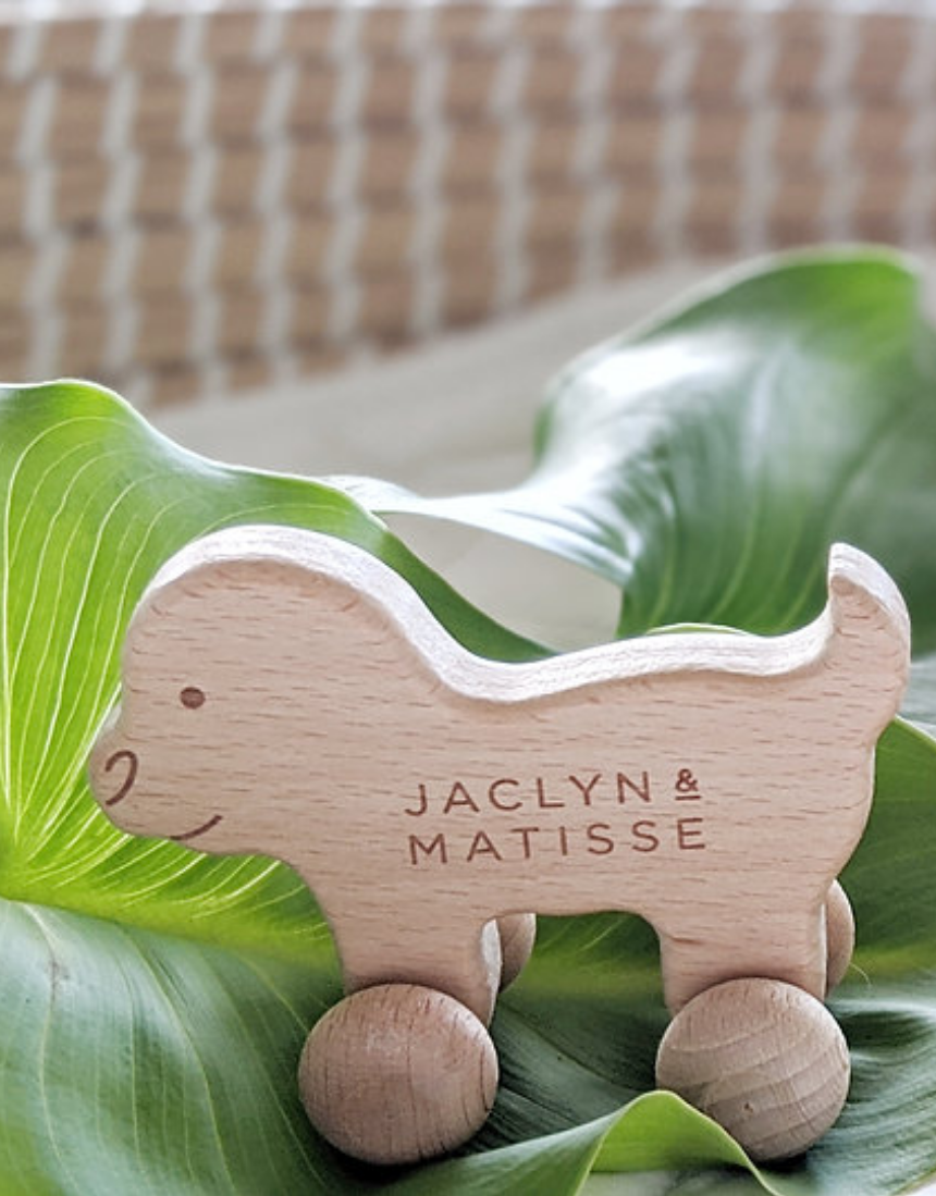 Wooden Doug the Dog, Toy Instruments, Jaclyn and Matisse - Say It Sister