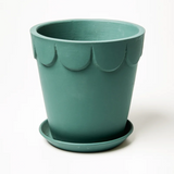 Dolly Pot Large - Eucalypt, , Jones & Co - Say It Sister