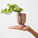 Loopy Tall Planter Pink Multi, , Jones & Co - Say It Sister