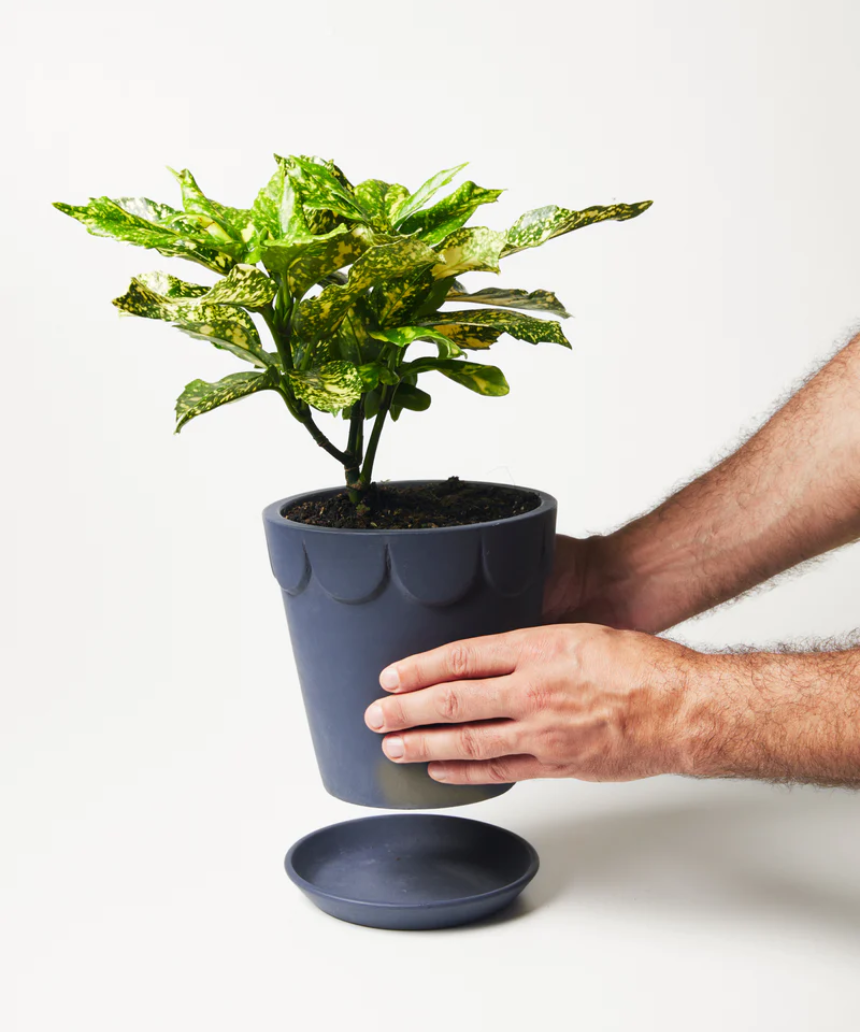 Dolly Pot Large - Shadow, Pots & Planters, Jones & Co - Say It Sister