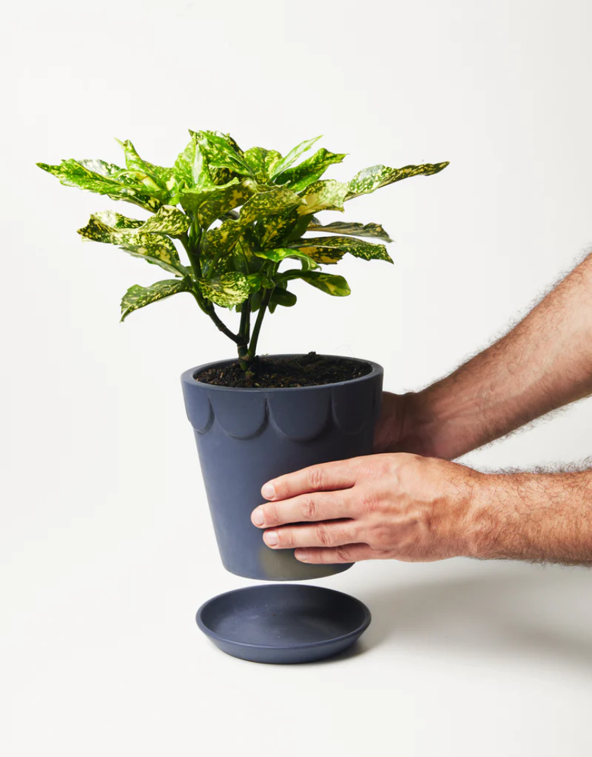 Dolly Pot Large - Shadow, Pots & Planters, Jones & Co - Say It Sister