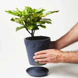 Dolly Pot Large - Shadow, Pots & Planters, Jones & Co - Say It Sister
