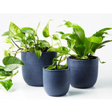 Small Tweed Pot Indigo, Pots & Vases, Jones & Co - Say It Sister