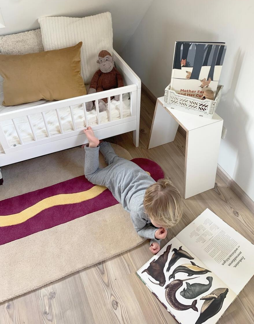 Hot Dog Rug, Rugs, Maison Deux - Say It Sister