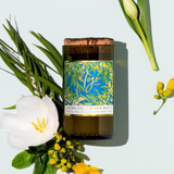 Mojo Candle Co. - Mimosa Wattle Australiana Collection, Candle, Mojo Candle Co. - Say It Sister