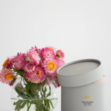 Salus - Rose Geranium Soy Candle, , SALUS - Say It Sister