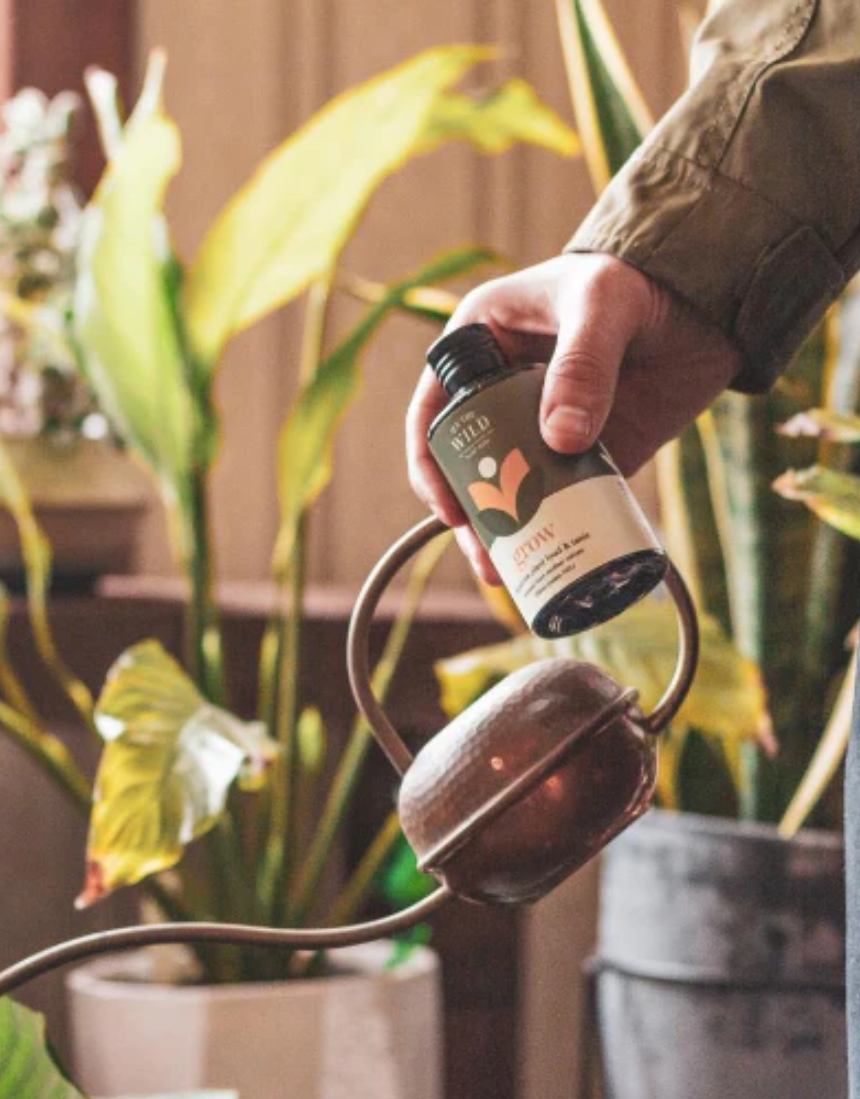 We The Wild Grow Plant Food & Tonic 150ml bottle for nourishing and supporting healthy plant growth in indoor and outdoor gardens.