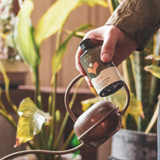We The Wild Grow Plant Food & Tonic 150ml bottle for nourishing and supporting healthy plant growth in indoor and outdoor gardens.