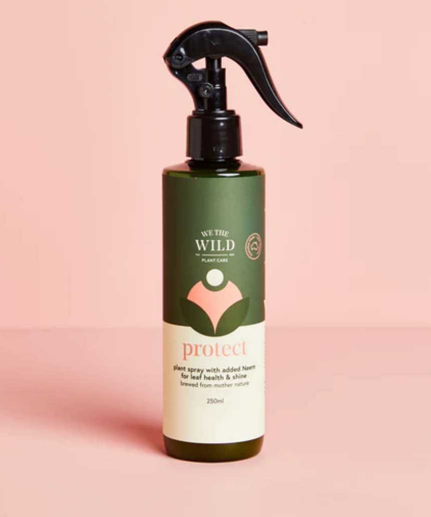We The Wild Protect Plant Spray 250ml for garden plants, showing a spray bottle with plant protection label.