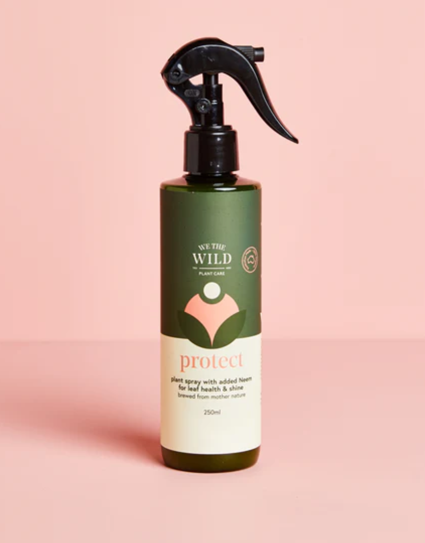 We The Wild Protect Plant Spray 250ml for garden plants, showing a spray bottle with plant protection label.