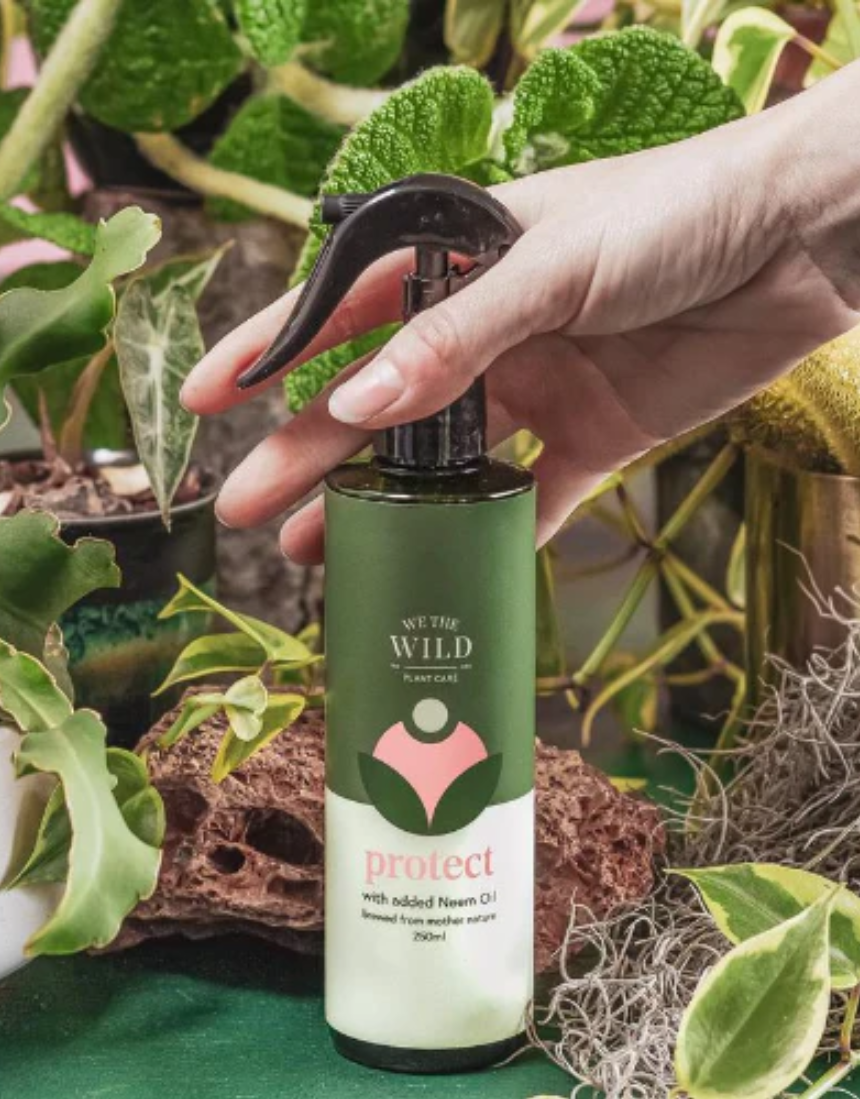 We The Wild Protect Plant Spray 250ml for garden plants, natural plant protection spray, in a clear bottle with a green label.