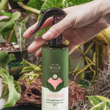 We The Wild Protect Plant Spray 250ml for garden plants, natural plant protection spray, in a clear bottle with a green label.