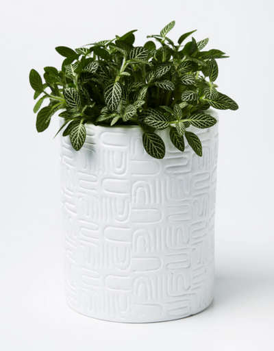 Wiggles Planter White - Say It Sister