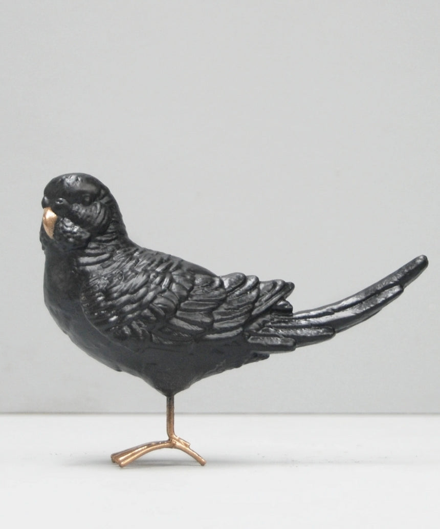 Budgie - Black, Homewares, White Moose - Say It Sister