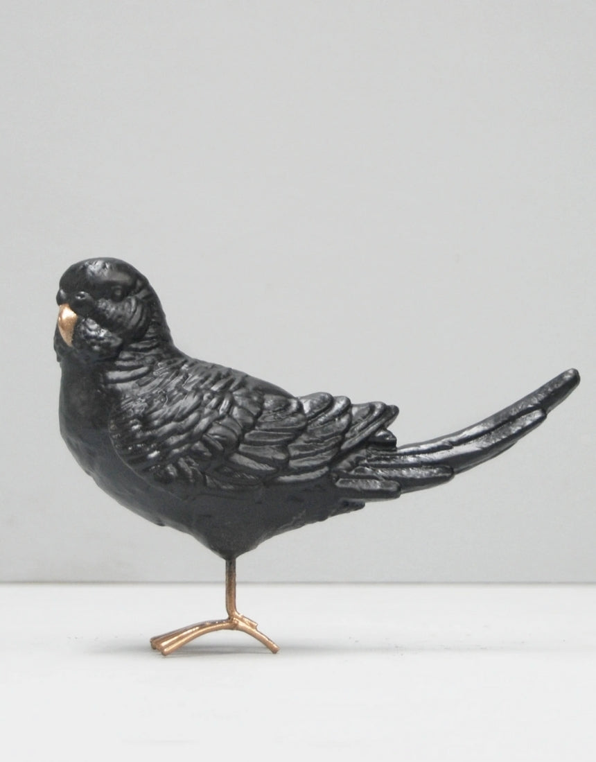 Budgie - Black, Homewares, White Moose - Say It Sister