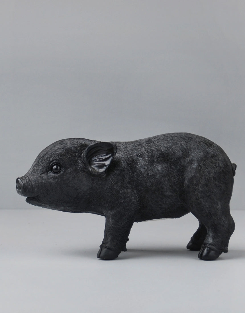 Pig Money Box Black, Homewares, White Moose - Say It Sister