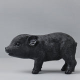 Pig Money Box Black, Homewares, White Moose - Say It Sister