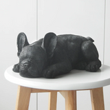 Sleeping Frenchie - Black, Homewares, White Moose - Say It Sister