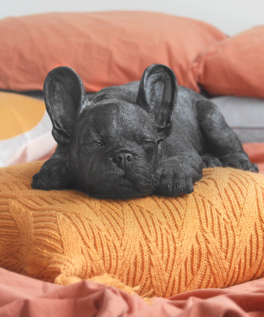 Sleeping Frenchie - Black, Homewares, White Moose - Say It Sister