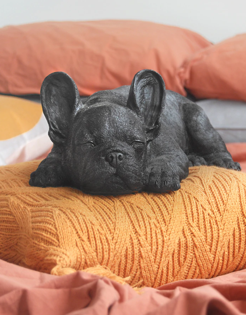 Sleeping Frenchie - Black, Homewares, White Moose - Say It Sister