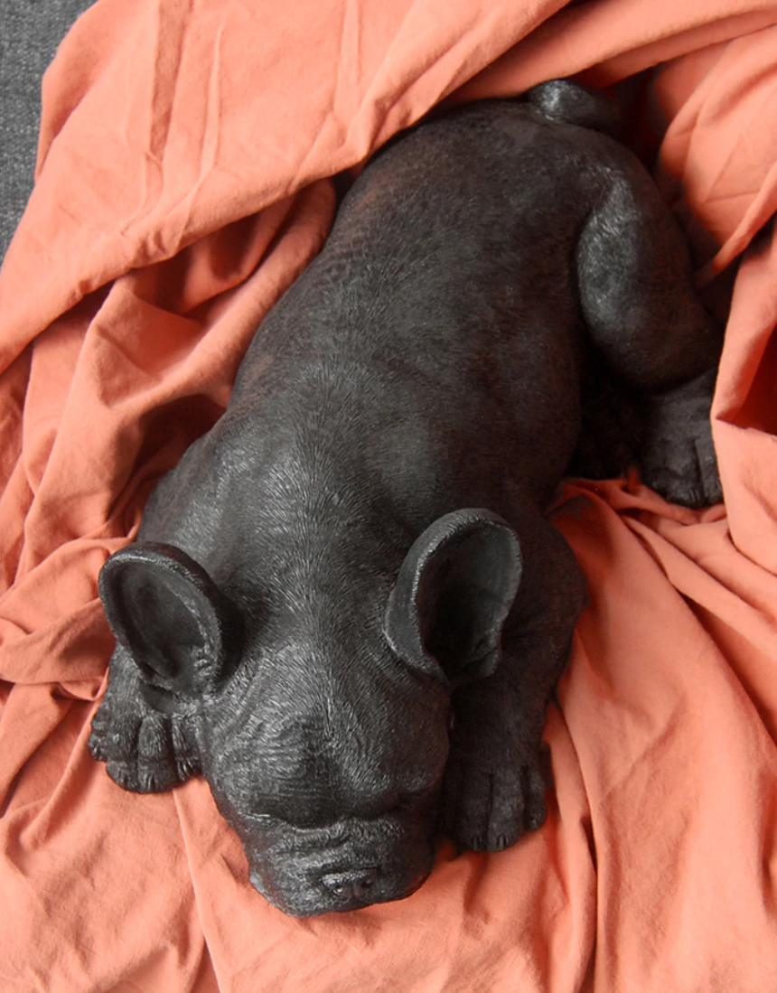 Sleeping Frenchie - Black, Homewares, White Moose - Say It Sister