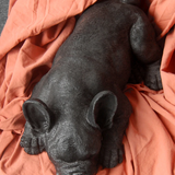 Sleeping Frenchie - Black, Homewares, White Moose - Say It Sister