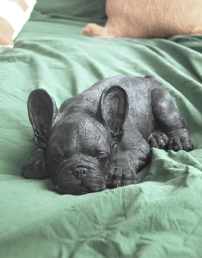 Sleeping Frenchie - Black, Homewares, White Moose - Say It Sister